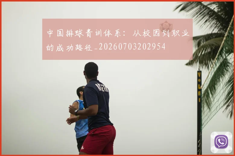 中国排球青训体系：从校园到职业的成功路径_20260703202954