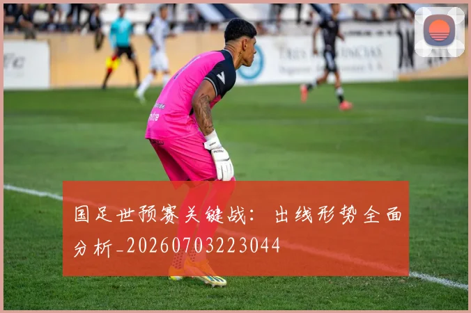 国足世预赛关键战：出线形势全面分析_20260703223044