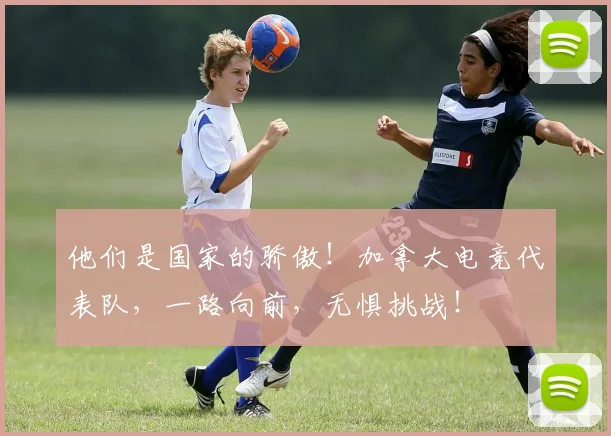 他们是国家的骄傲!加拿大电竞代表队,一路向前,无惧挑战!