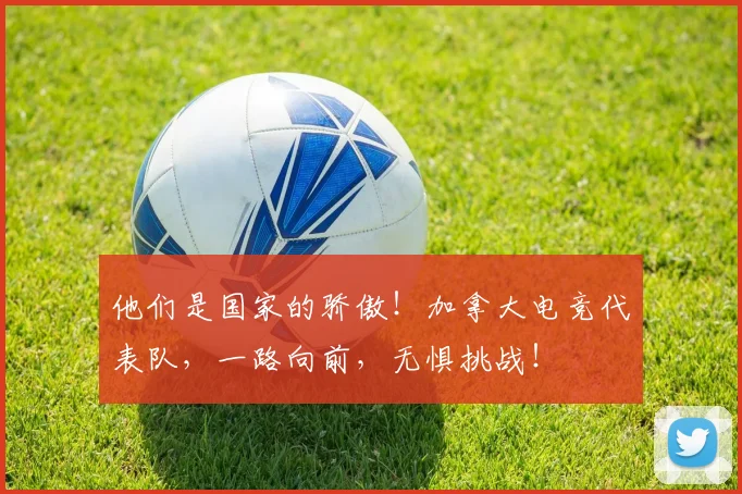 他们是国家的骄傲！加拿大电竞代表队，一路向前，无惧挑战！